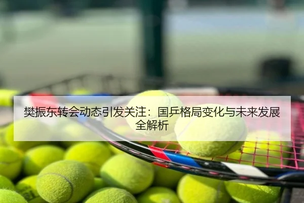 樊振东转会动态引发关注：国乒格局变化与未来发展全解析